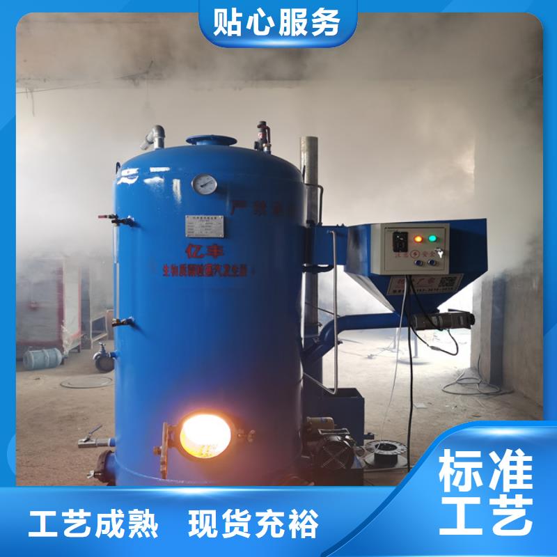  蒸汽发生器专注细节使用放心