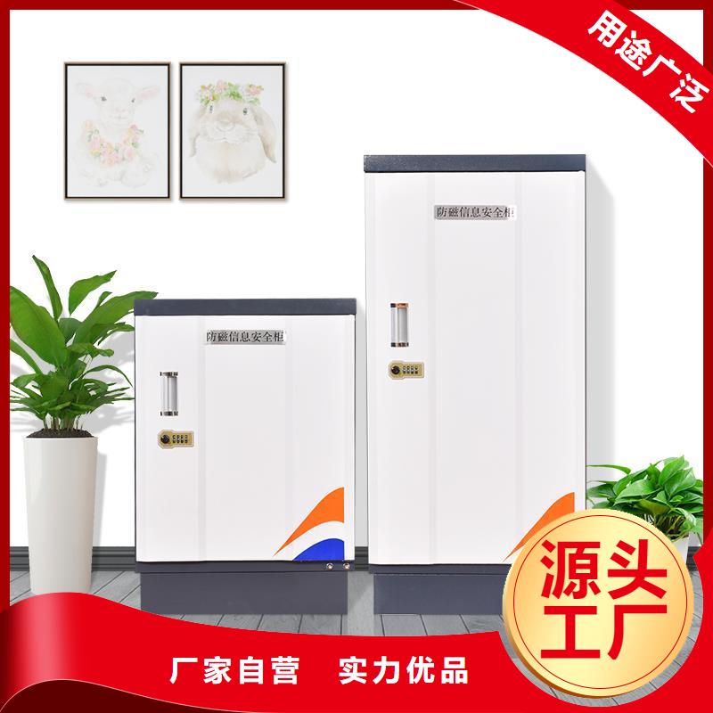 防磁柜银行金库门根据要求定制