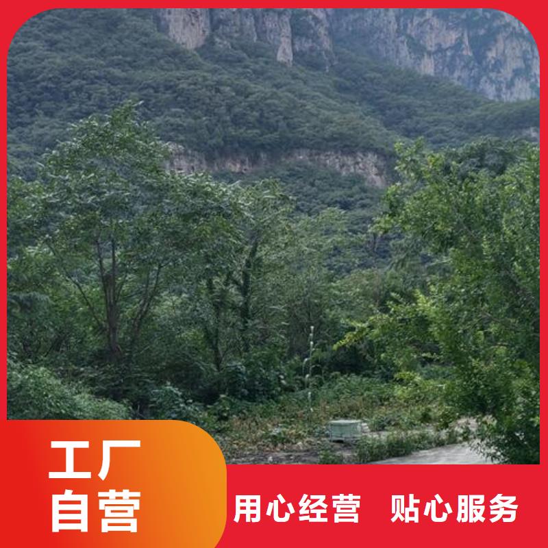二次构造柱泵【混凝土泵】厂家供应