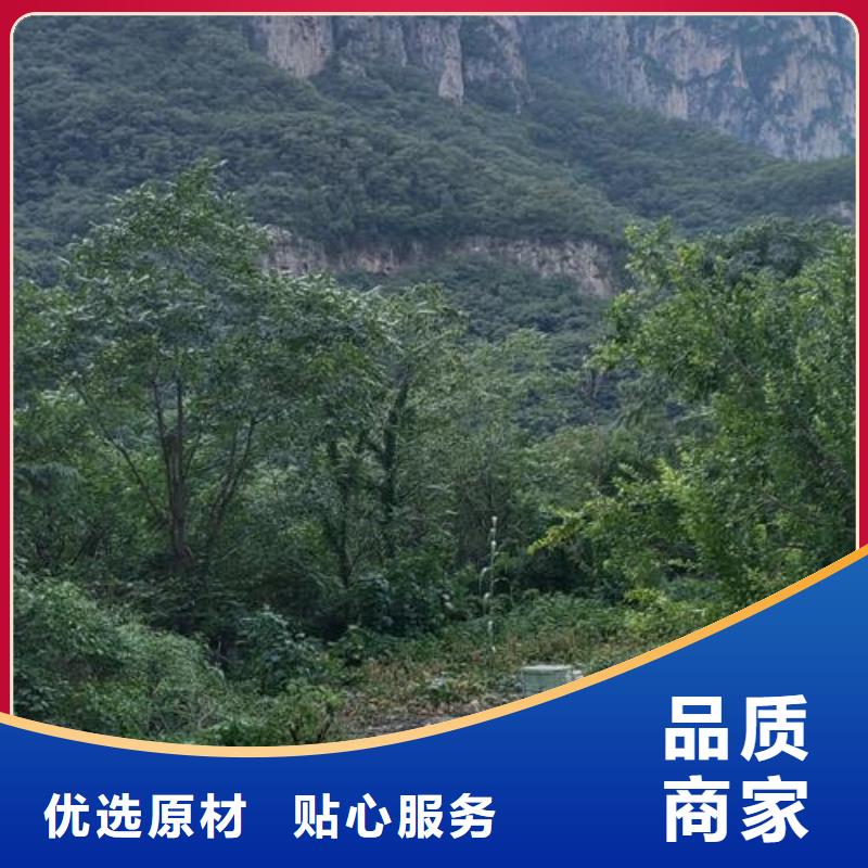 二次构造柱泵客户好评