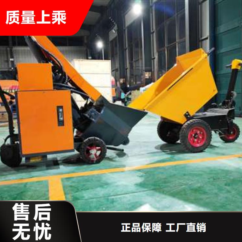 二次构造柱泵,小型混凝土路面灌缝机客户信赖的厂家