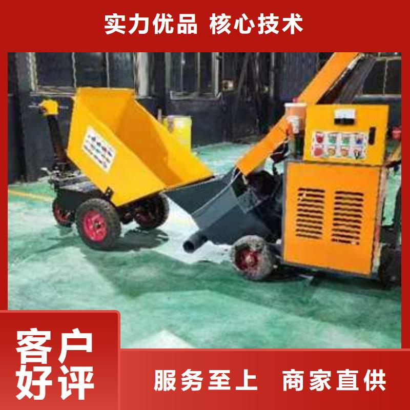 二次构造柱泵多年厂家可靠
