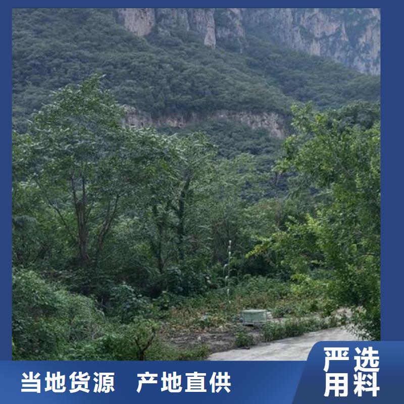 小型混凝土泵柴油二次构造柱欢迎来电询价