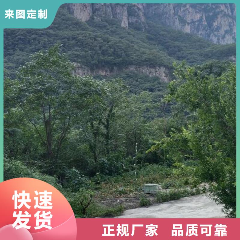小型混凝土泵基桩垫层泵车用心制作