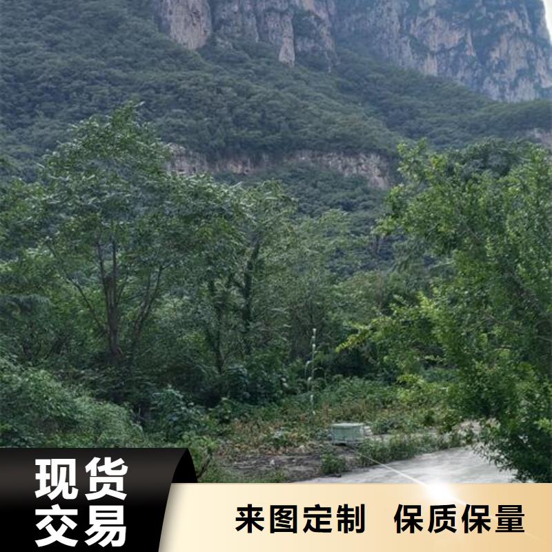 小型混凝土泵小型砂浆泵商家