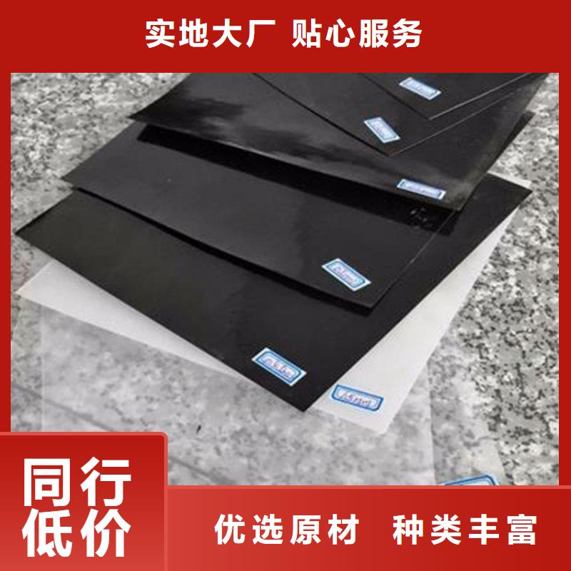 土工膜玻璃纤维土工格栅专业的生产厂家