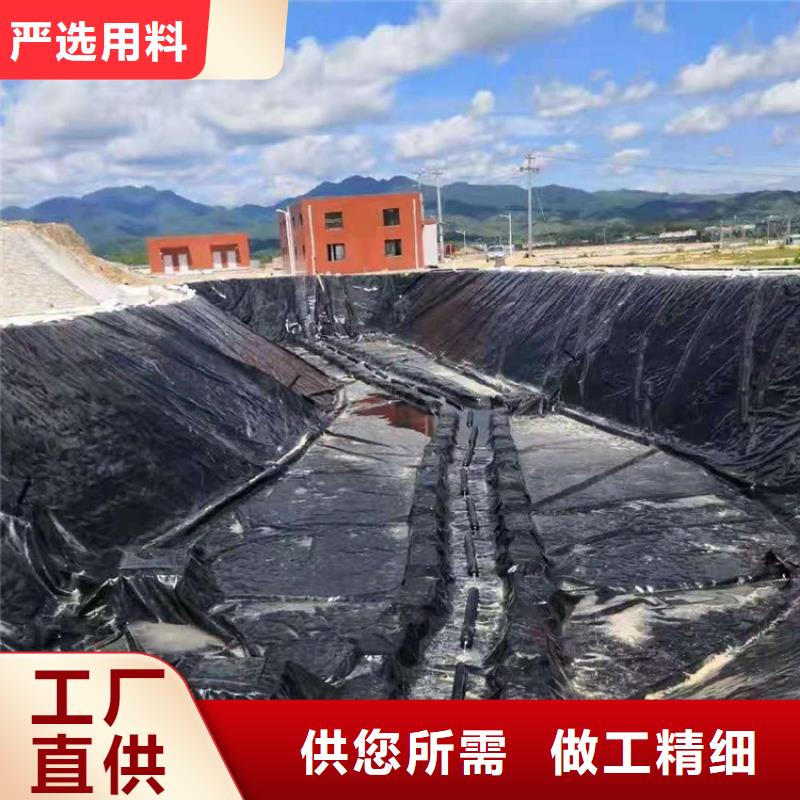 【土工膜-双向塑料土工格栅敢与同行比服务】