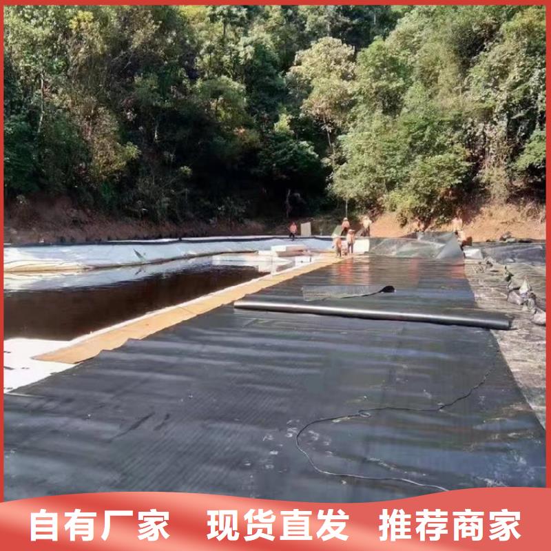 土工膜-塑料格栅厂家直销直供