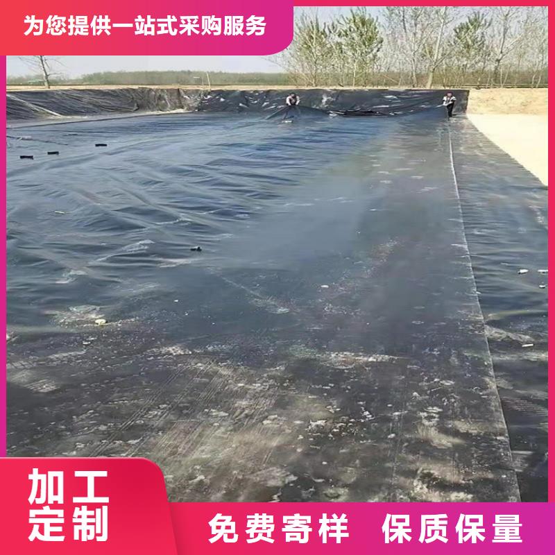 土工膜-塑料格栅厂家直销直供