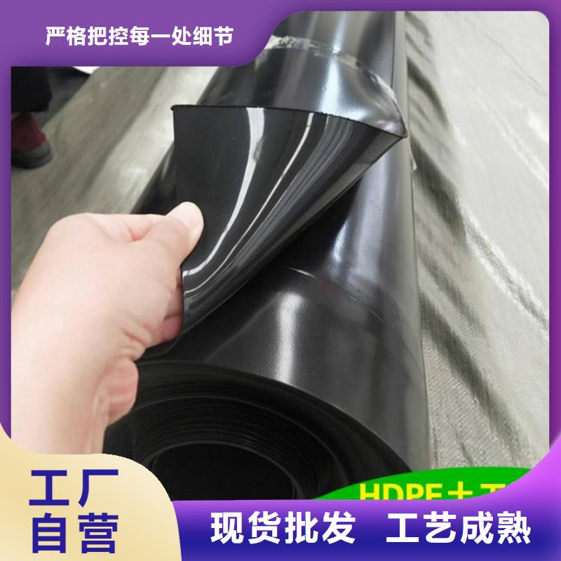 土工膜一周内发货
