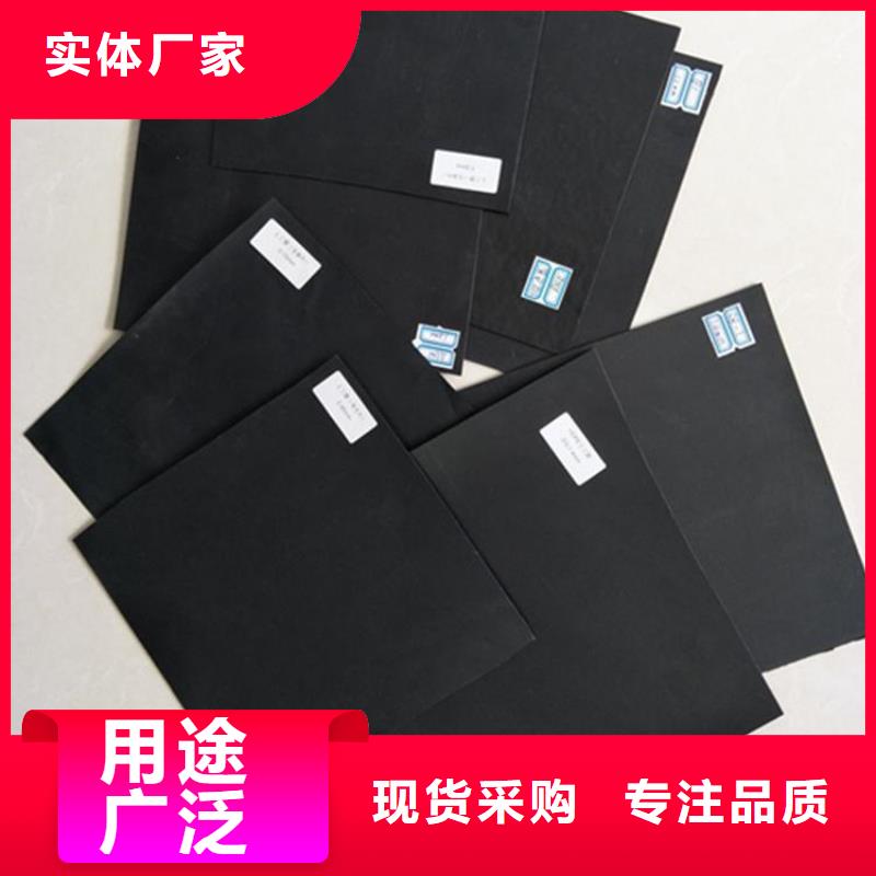 土工膜玻璃纤维土工格栅专业的生产厂家