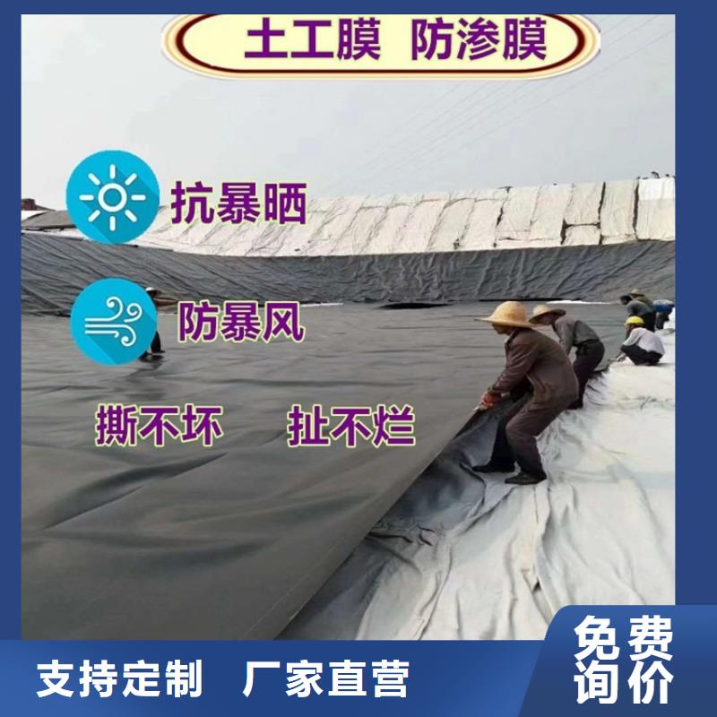【土工膜-双向塑料土工格栅敢与同行比服务】