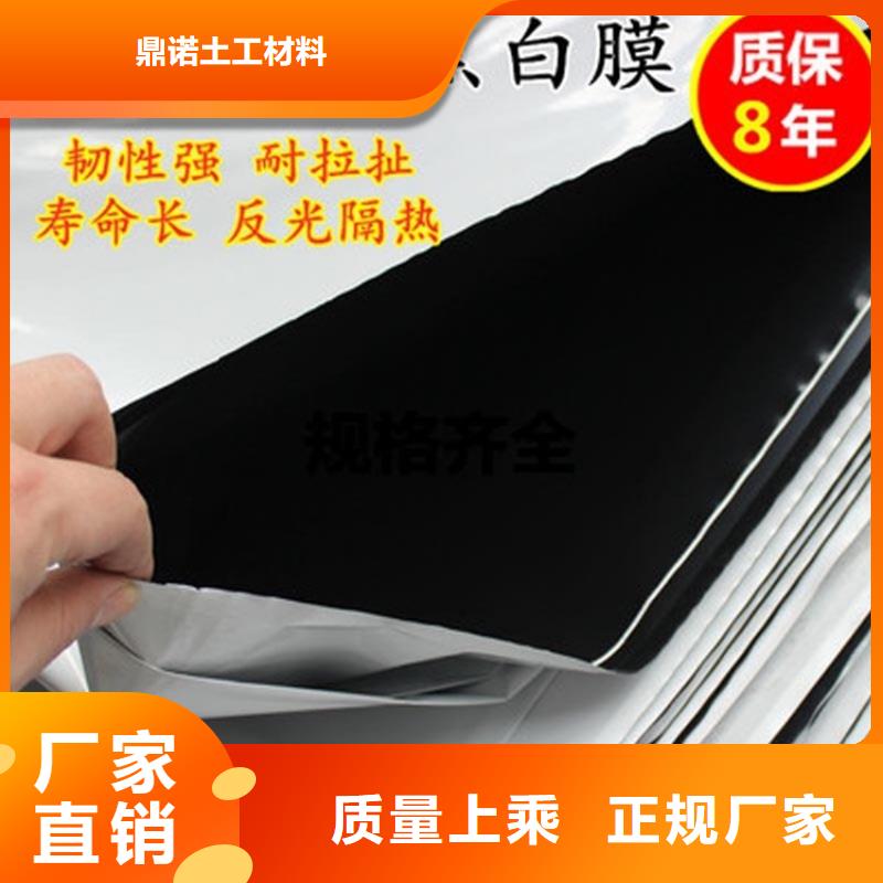 专业的生产厂家【土工膜】土工布用心服务