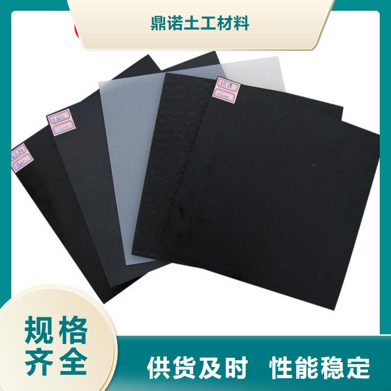 【土工膜-双向塑料土工格栅敢与同行比服务】