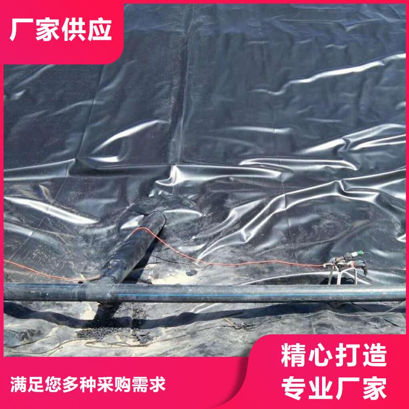 土工膜-塑料格栅厂家直销直供