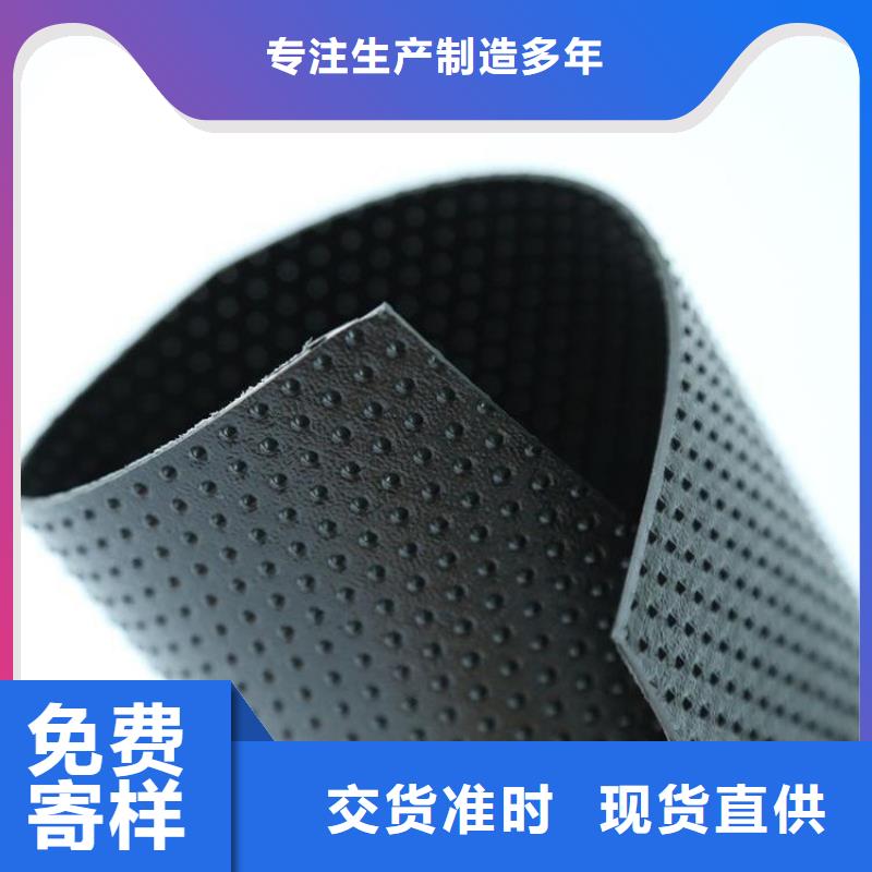 土工膜玻璃纤维土工格栅专业的生产厂家