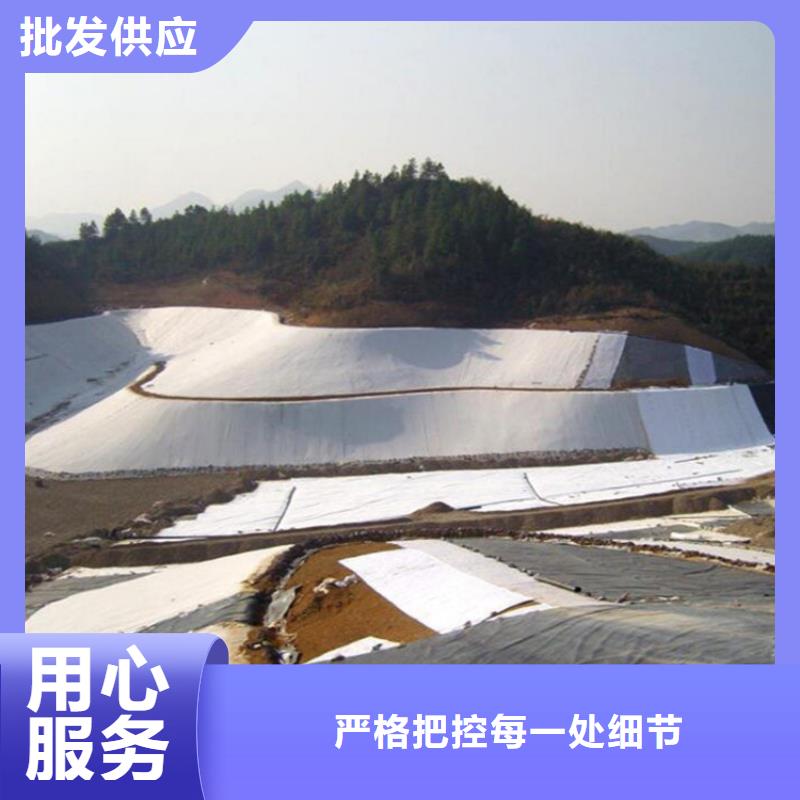 土工膜-塑料格栅厂家直销直供