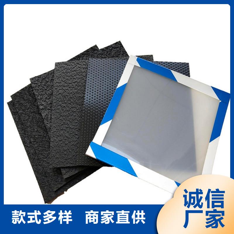 土工膜-塑料格栅厂家直销直供