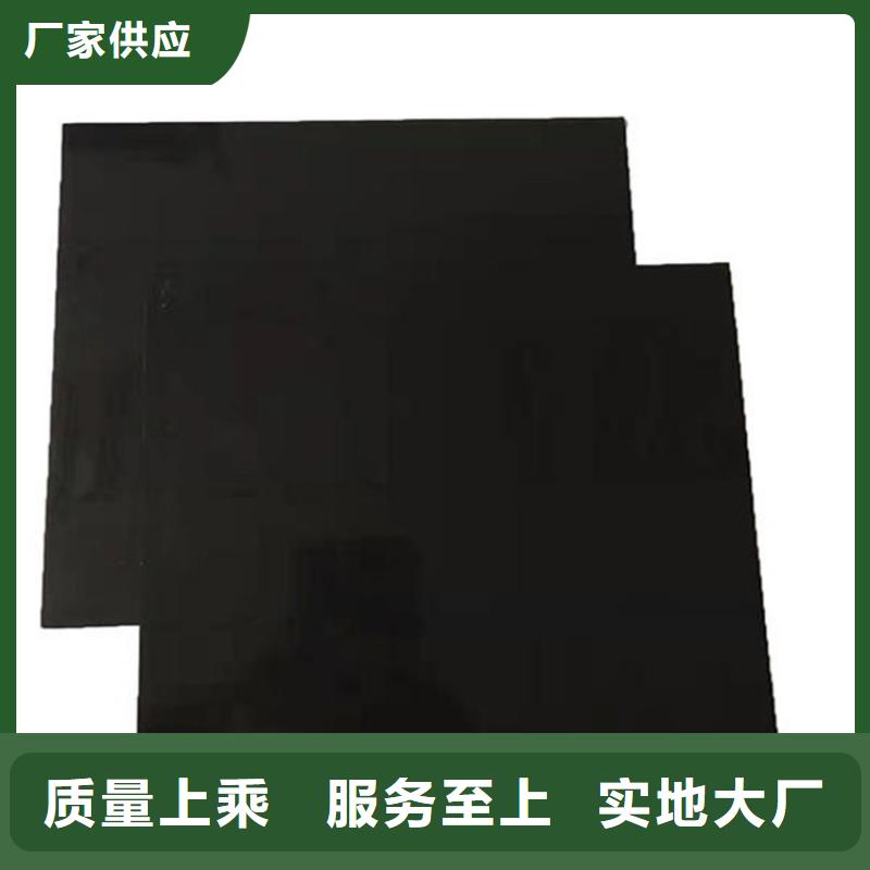 土工膜玻纤土工格栅应用范围广泛