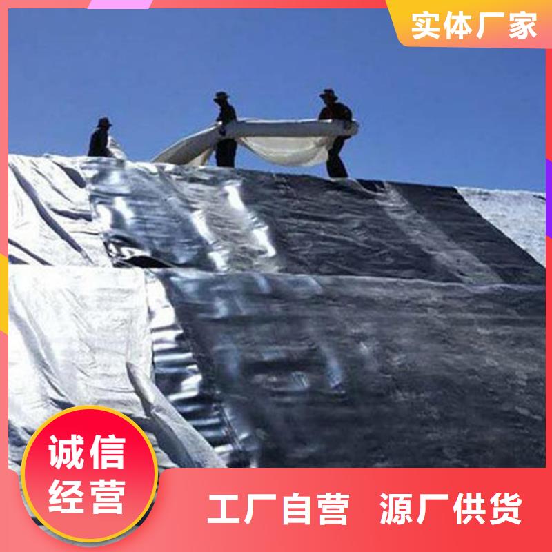 土工膜玻纤土工格栅应用范围广泛