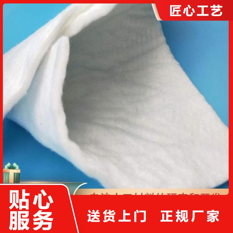 土工布双向塑料土工格栅诚信可靠