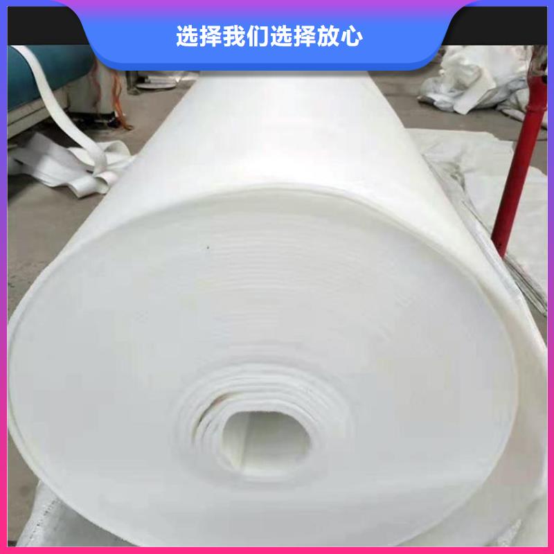 土工布双向塑料土工格栅诚信可靠