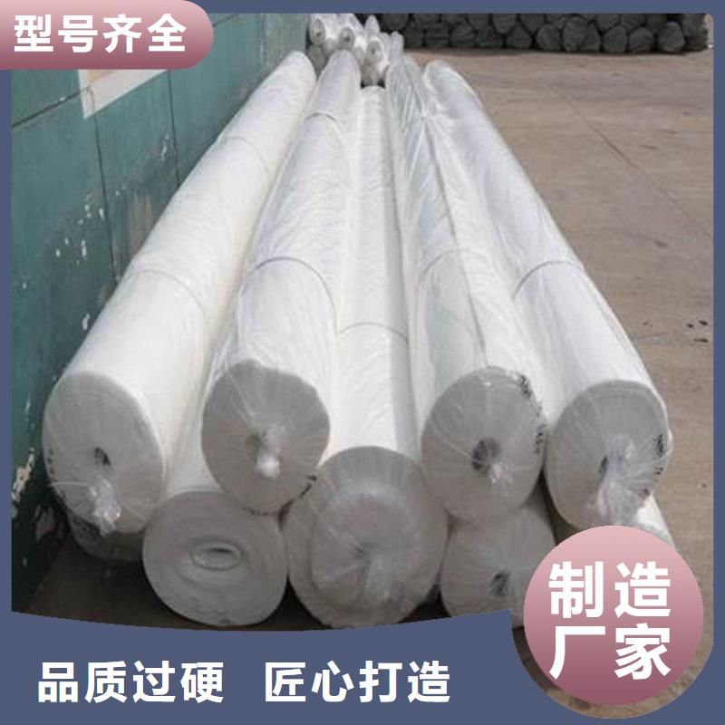 土工布双向塑料土工格栅诚信可靠