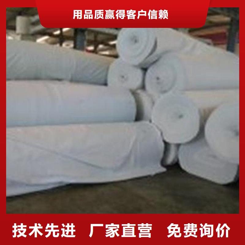 土工布双向塑料土工格栅诚信可靠
