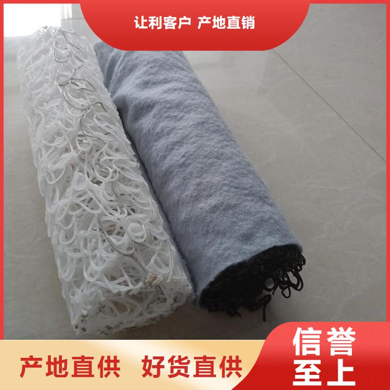 东昌|梅河口|辽源|延边|吉林|长春|四平【 塑料盲沟_土工格栅就近发货】联系厂家