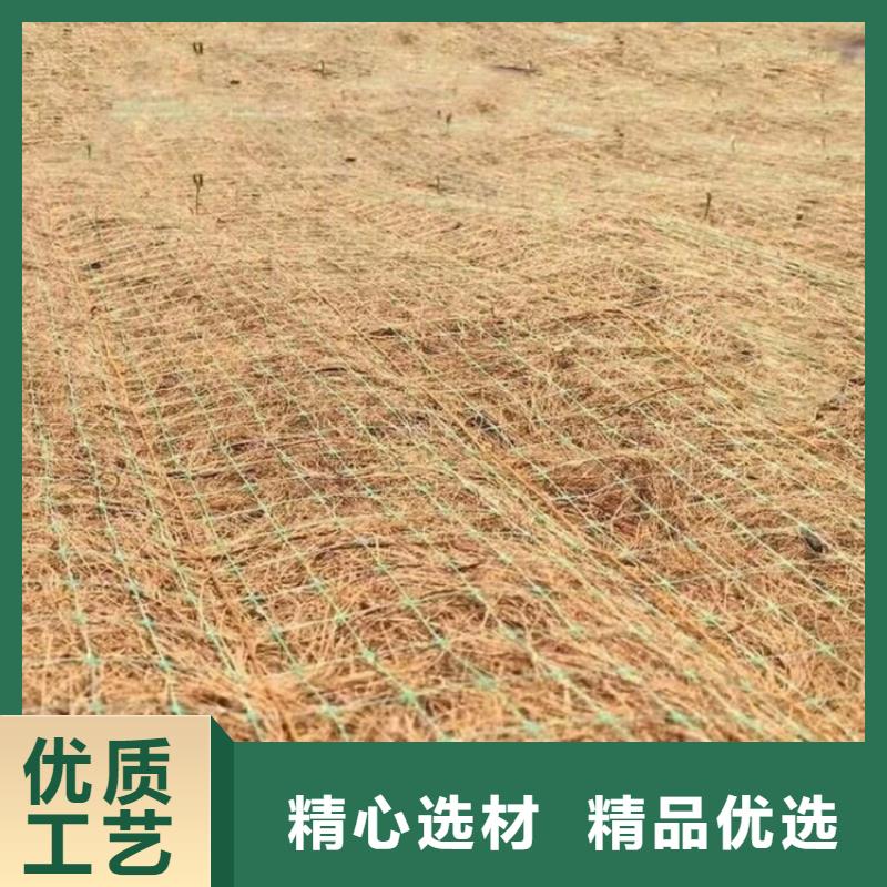 植生椰丝毯