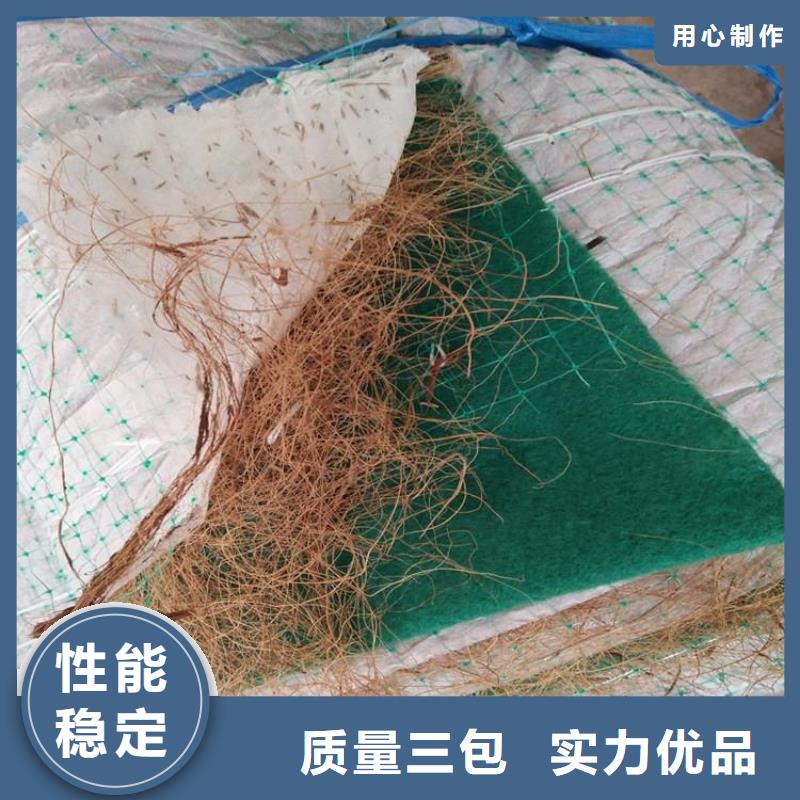 临高县椰丝毯-公路植生毯-草籽椰丝毯