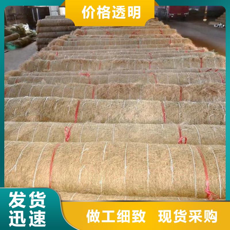 临高县椰丝毯-公路植生毯-草籽椰丝毯