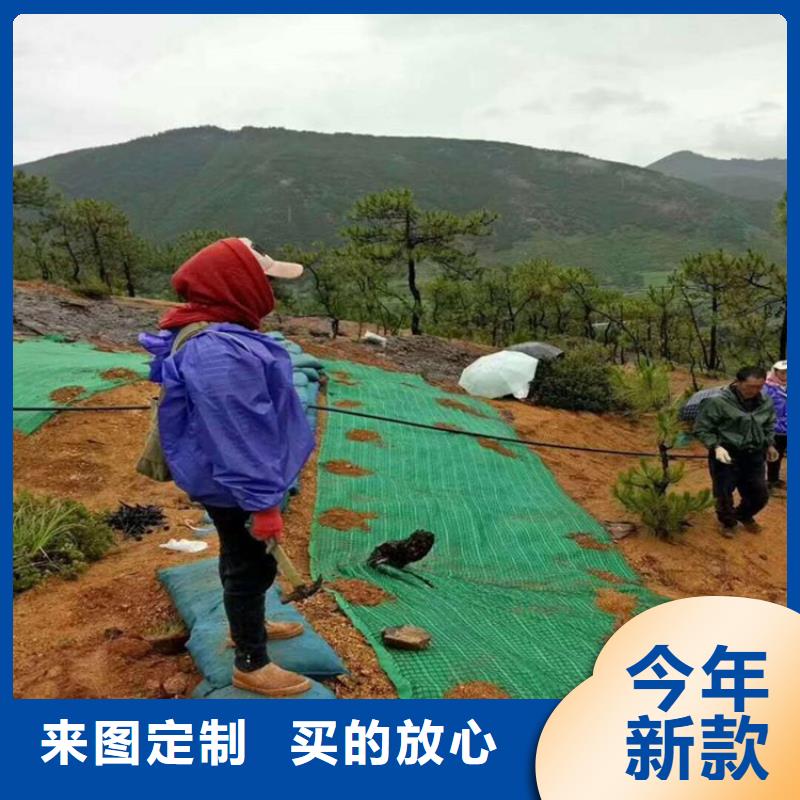 椰丝毯止水带支持加工定制