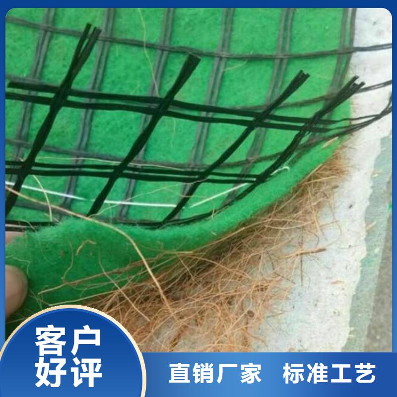 加筋抗冲生态毯-椰丝护坡毯