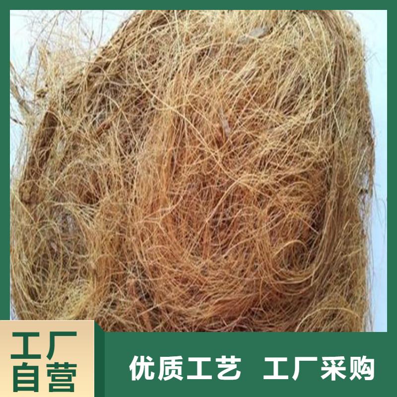 临高县椰丝毯-公路植生毯-草籽椰丝毯