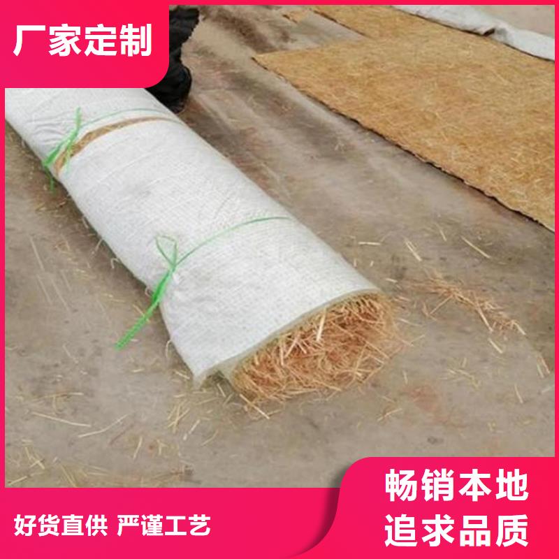 临高县椰丝毯-公路植生毯-草籽椰丝毯