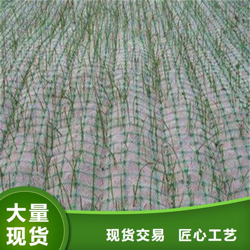 临高县椰丝植生毯-稻草植生毯-椰丝生态毯