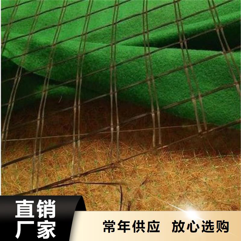 加筋抗冲生态毯-椰丝护坡毯