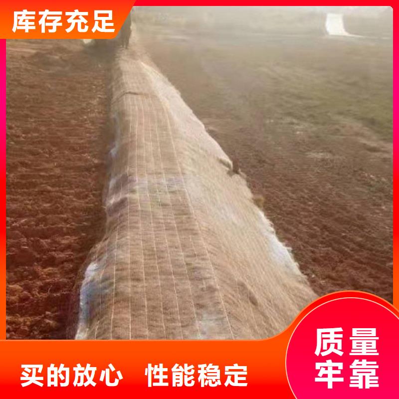加筋抗冲生态毯-椰丝护坡毯