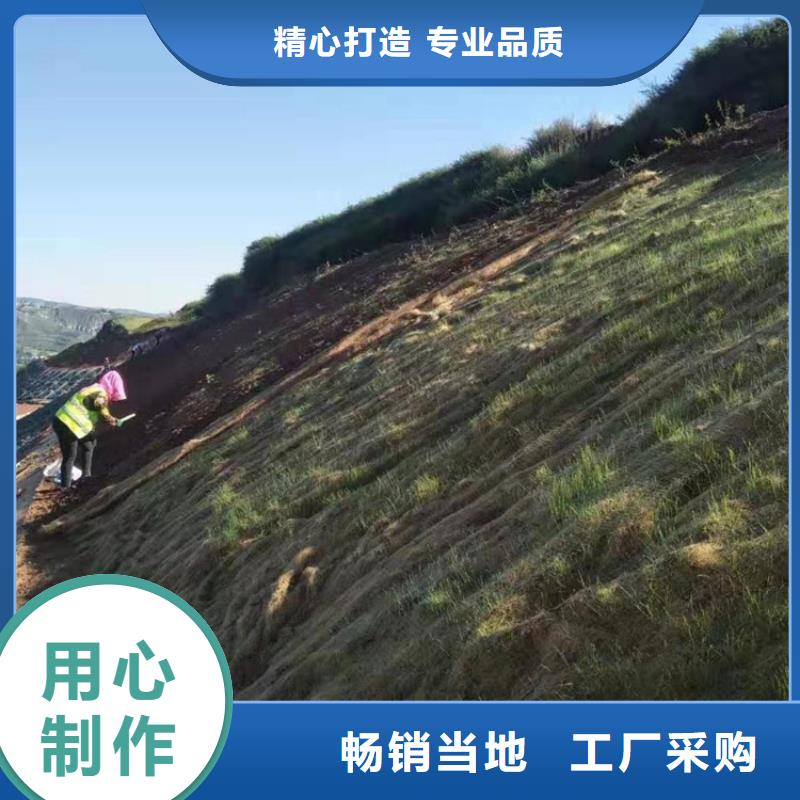 临高县椰丝植生毯-稻草植生毯-椰丝生态毯