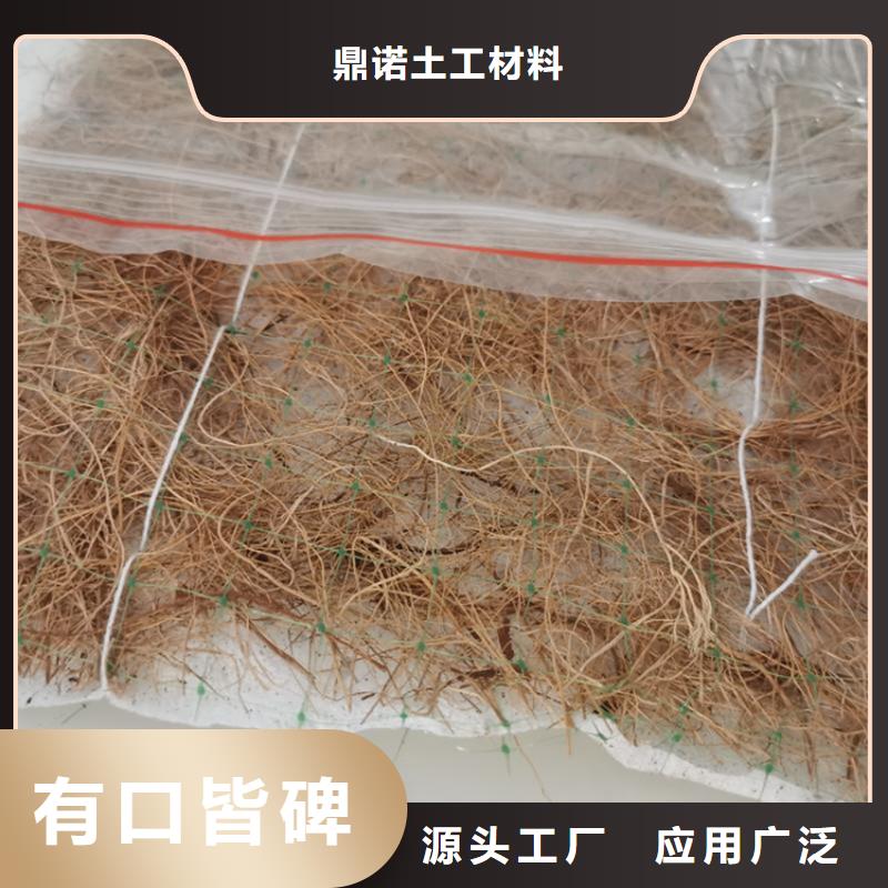 加筋抗冲生态毯-椰丝护坡毯