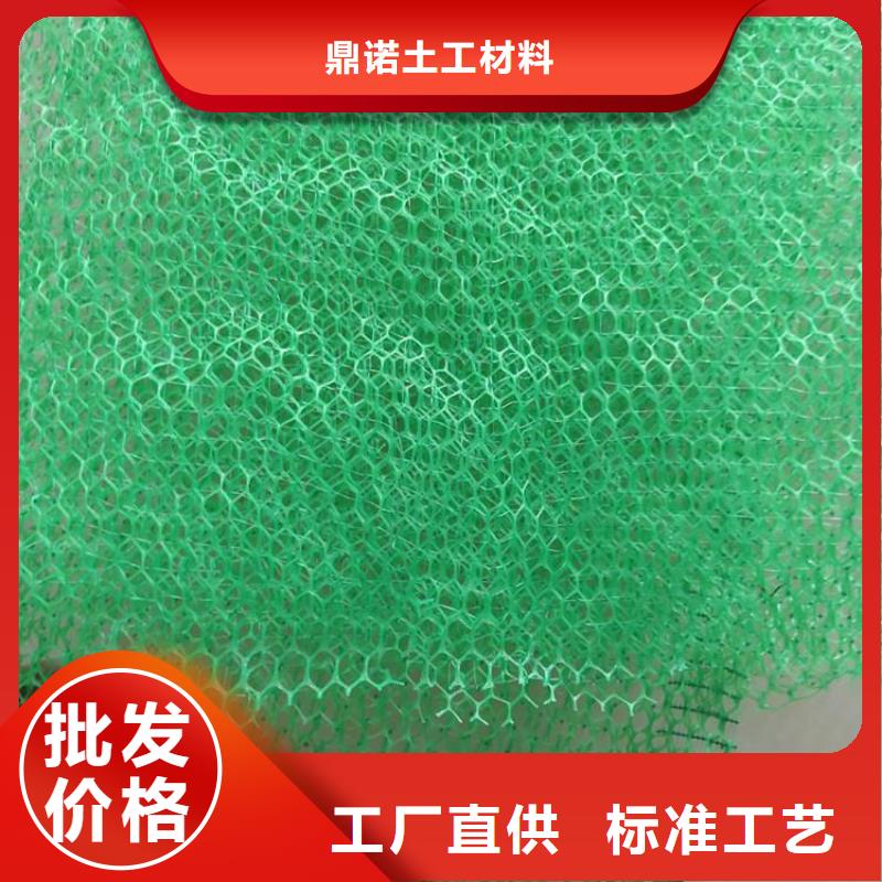 三维植被网-通风降噪丝网专注细节专注品质