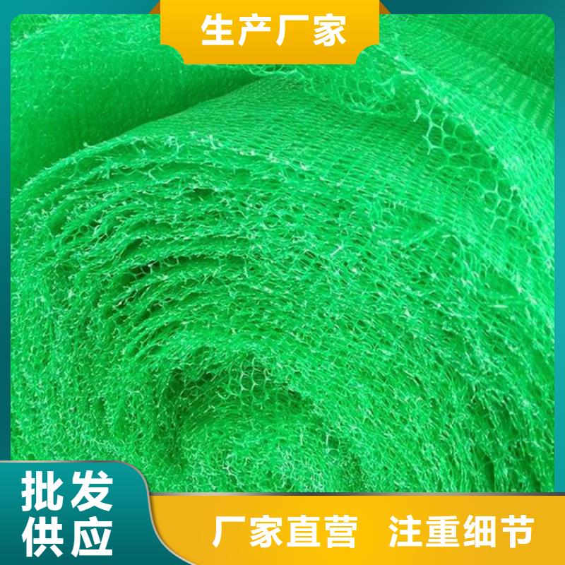 三维植被网-防水板甄选好厂家