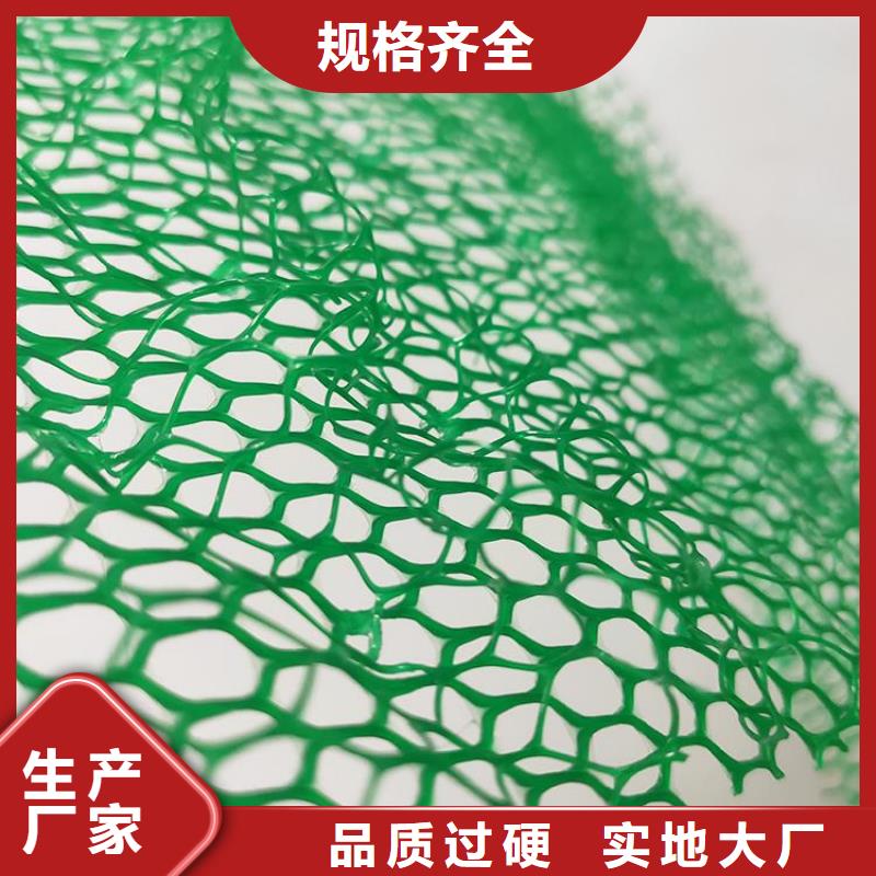 三维土工网垫批发市场