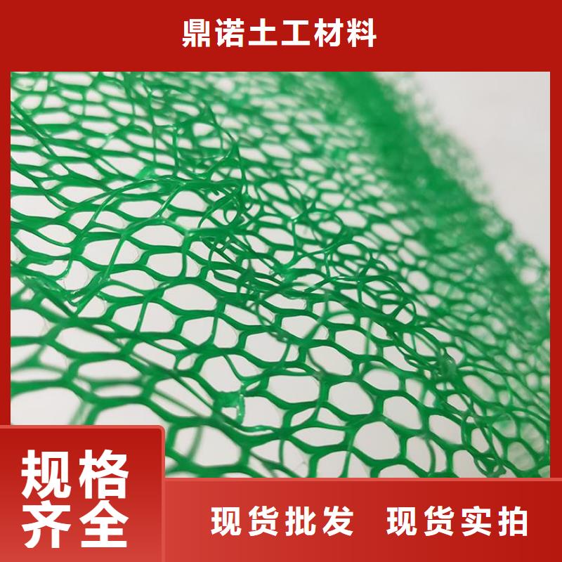 三维植被网-防水板甄选好厂家
