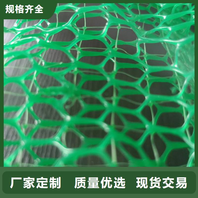 三维植被网-防水板甄选好厂家