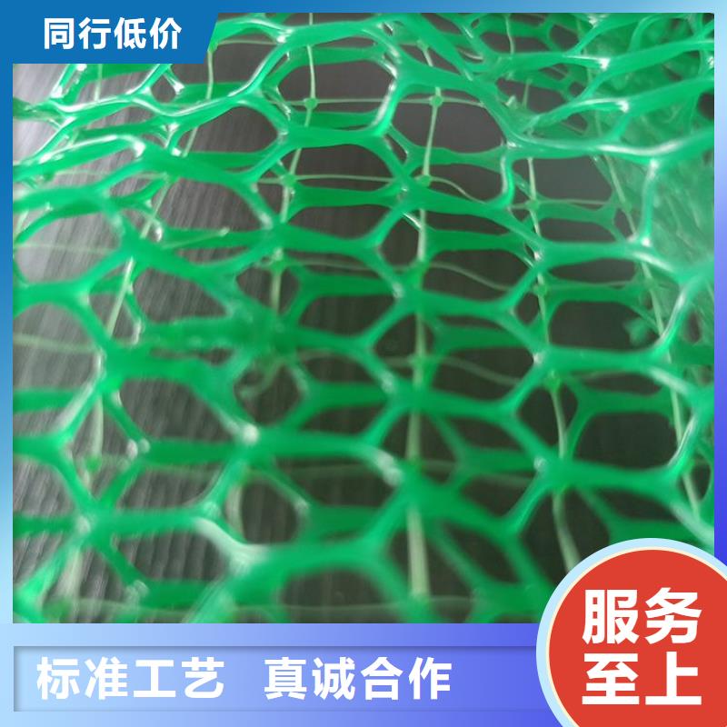 三维植被网-防水板甄选好厂家