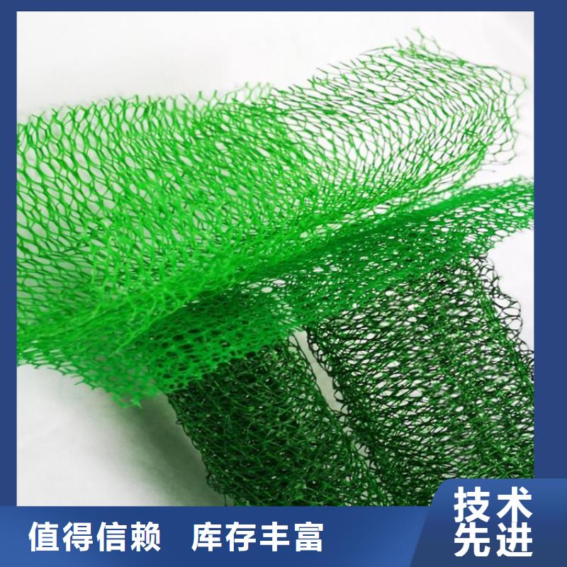 三维植被网-防水板甄选好厂家