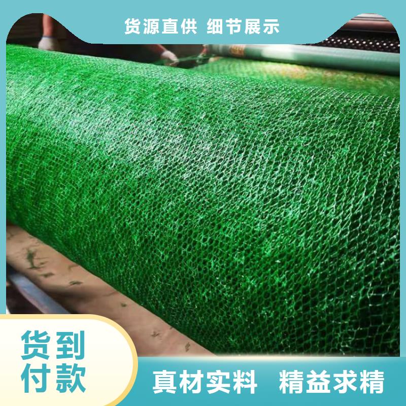 三维植被网-通风降噪丝网专注细节专注品质