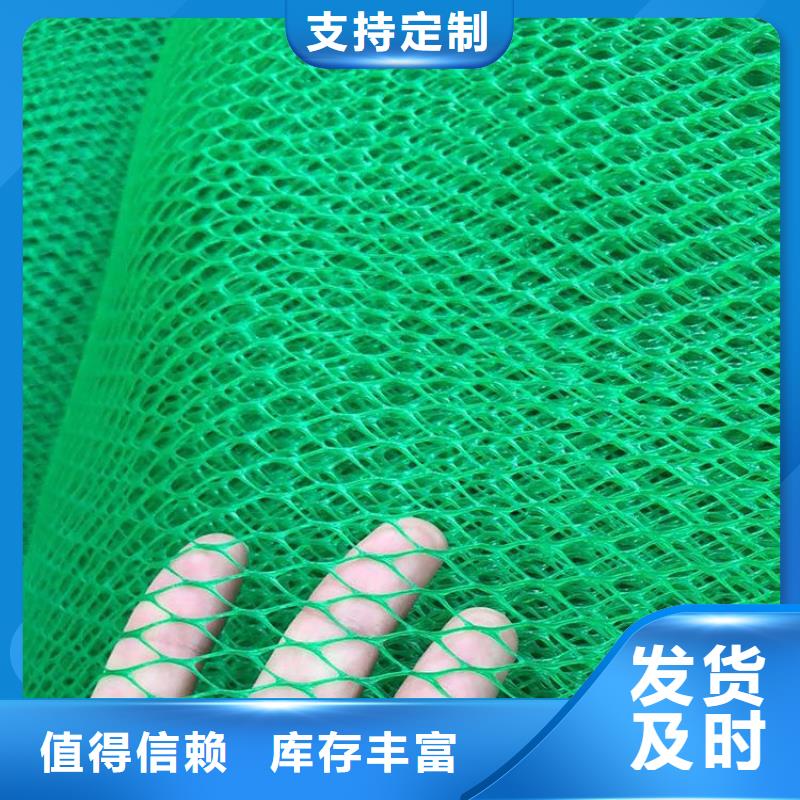 三维植被网-防水板甄选好厂家
